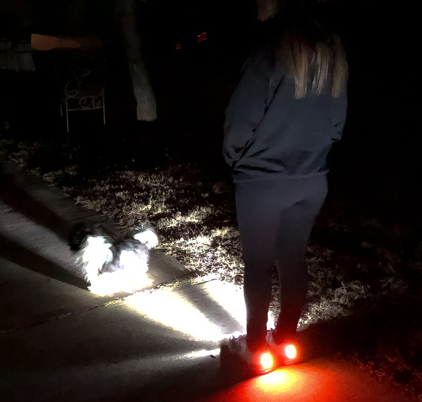 Zapatillas de running nocturnas para mujer con luces de seguridad integradas